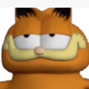 Meet your Posher, Koa